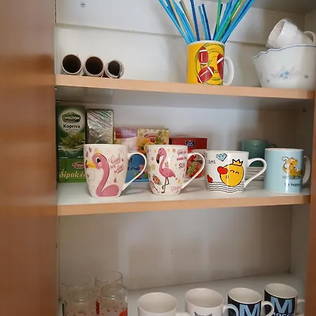 Dejana Ns - Stan Na Dan - Free Street Parking Appartamento Novi Sad