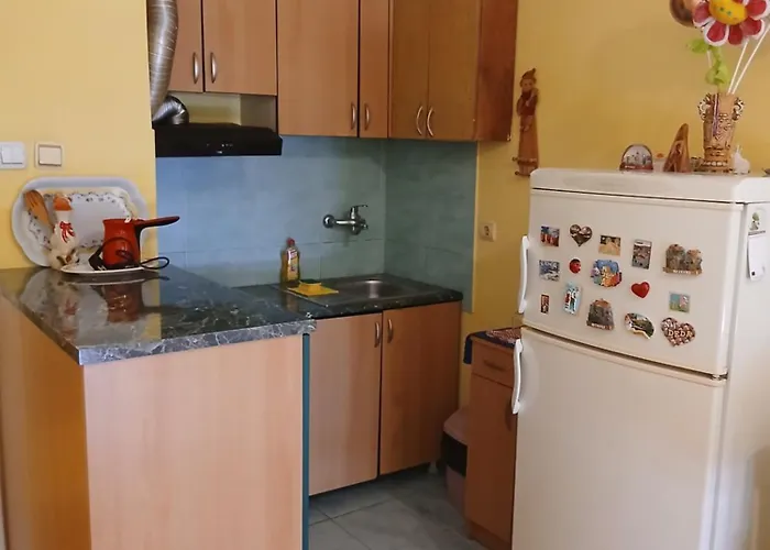 Dejana Ns - Stan Na Dan - Free Street Parking شقة