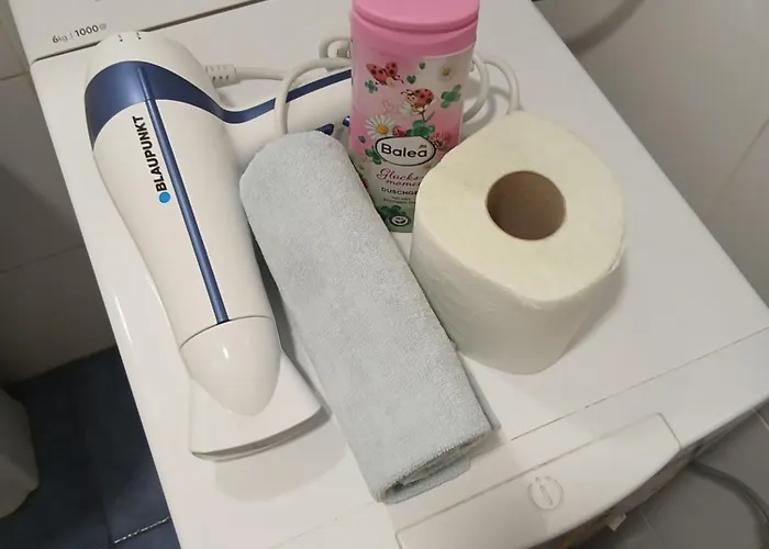 Dejana Ns - Stan Na Dan - Free Street Parking شقة نوفي ساد