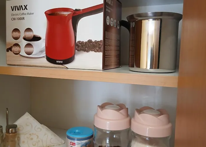 Dejana Ns - Stan Na Dan - Free Street Parking * نوفي ساد