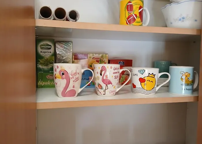 Dejana Ns - Stan Na Dan - Free Street Parking شقة نوفي ساد